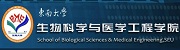 vic115维多利亚